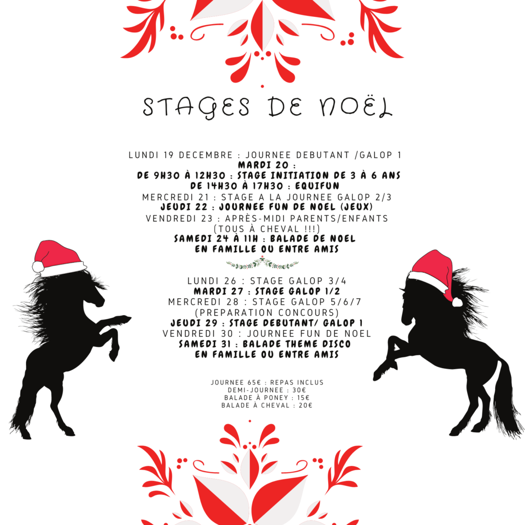 Stages vacances Noël 2022