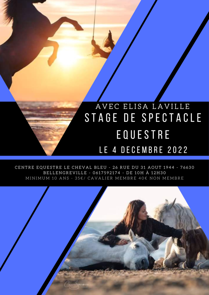 Stage spectacle avec Elisa Laville le 04/12/2022 de 10h à 12h
