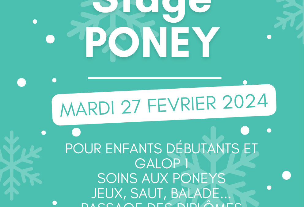 Stage au Cheval Bleu poney débutant le 27 février
