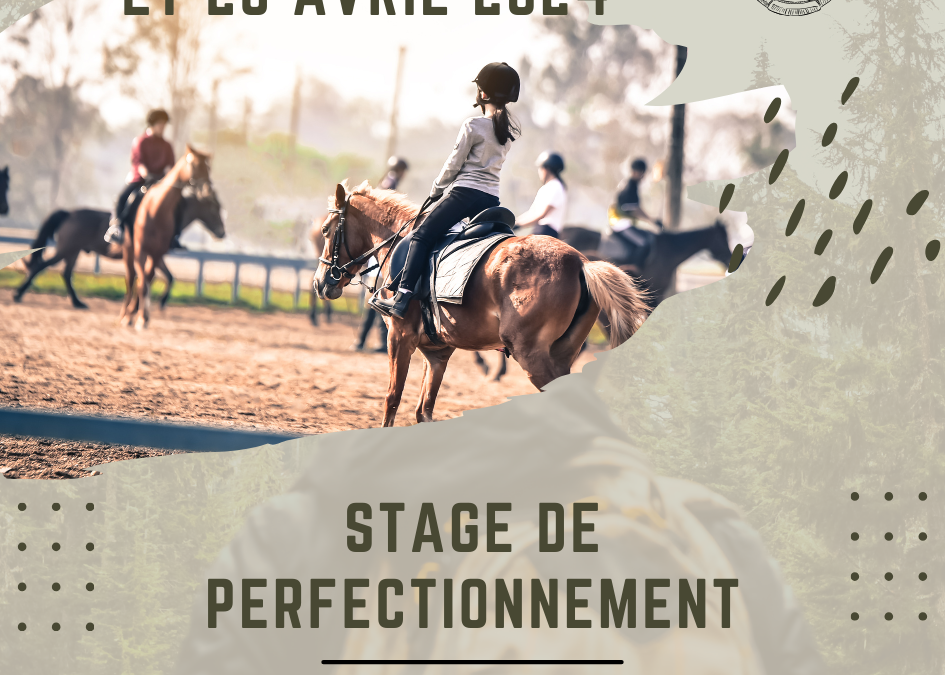 STAGE PERFECTIONNEMENT